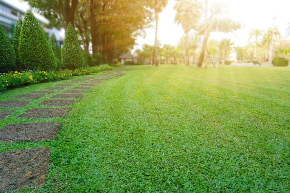 Pattern,Of,Laterite,Stepping,Stone,On,A,Green,Lawn,Backyard