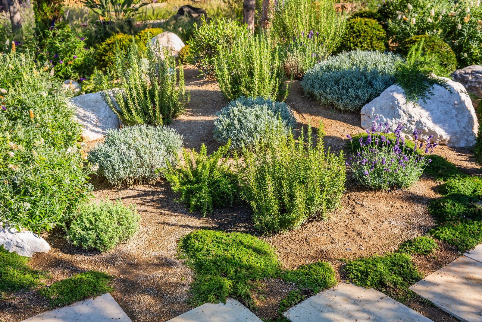 Backyard,With,Fantastic,Landscaping,,Patio,,Drought,Resistant,Plants